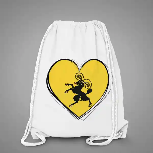 Rucksackbeutel Schaffhausen 01