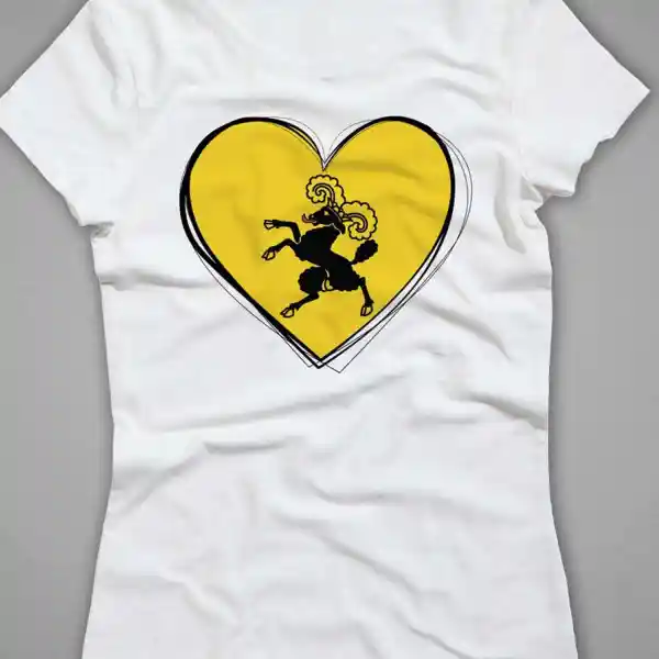 Damen T-Shirt Schaffhausen 01