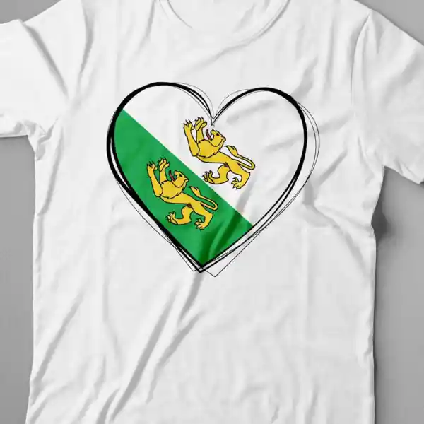 Kinder T-Shirt Thurgau 01