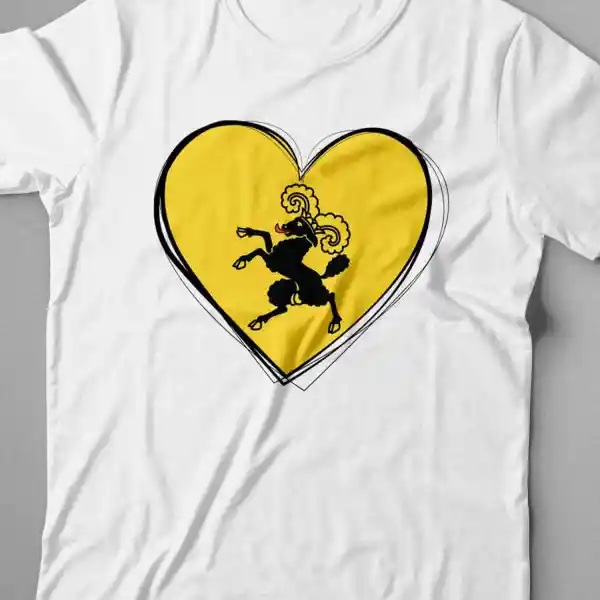Kinder T-Shirt Schaffhausen 01