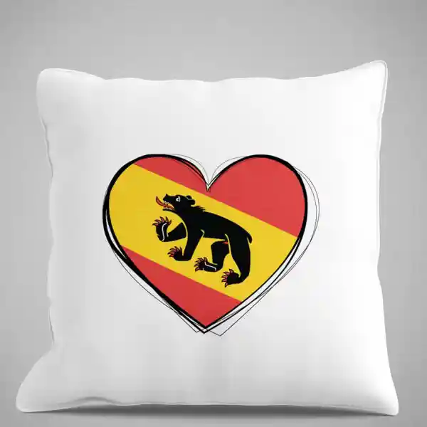 Kissen Bern 01