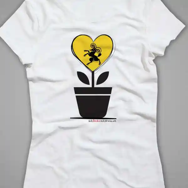Damen T-Shirt Schaffhausen 10