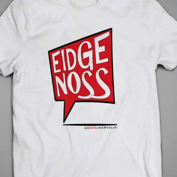 Herren T-Shirt Schweiz 22